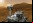 Curiosity - 7 Minutos de Terror