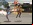 Brief Karate Foolish: Ridículo juego de pelea con japoneses semidesnudos Brief Karate Foolish: Ridículo juego de pelea con japoneses semidesnudos